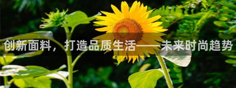 意昂体育3