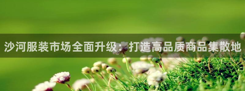 意昂体育3平台注册流程图