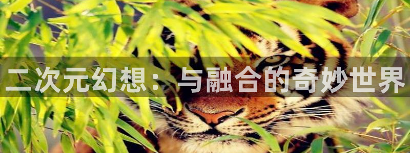 意昂体育3联系电话