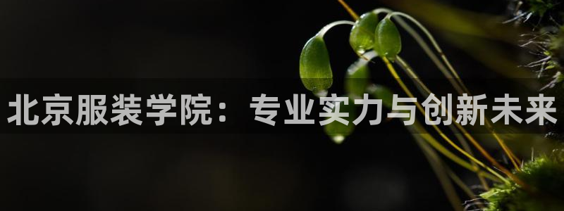 意昂3娱乐是那个系列的台子