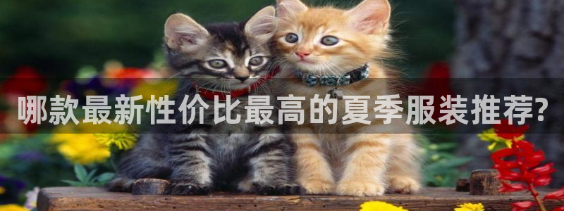 意昂3娱乐网站