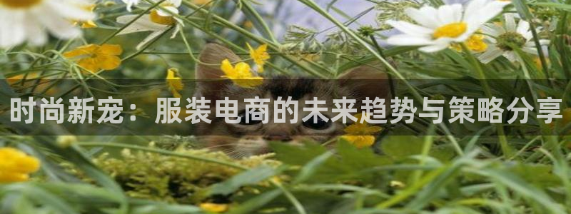 意昂体育3平台